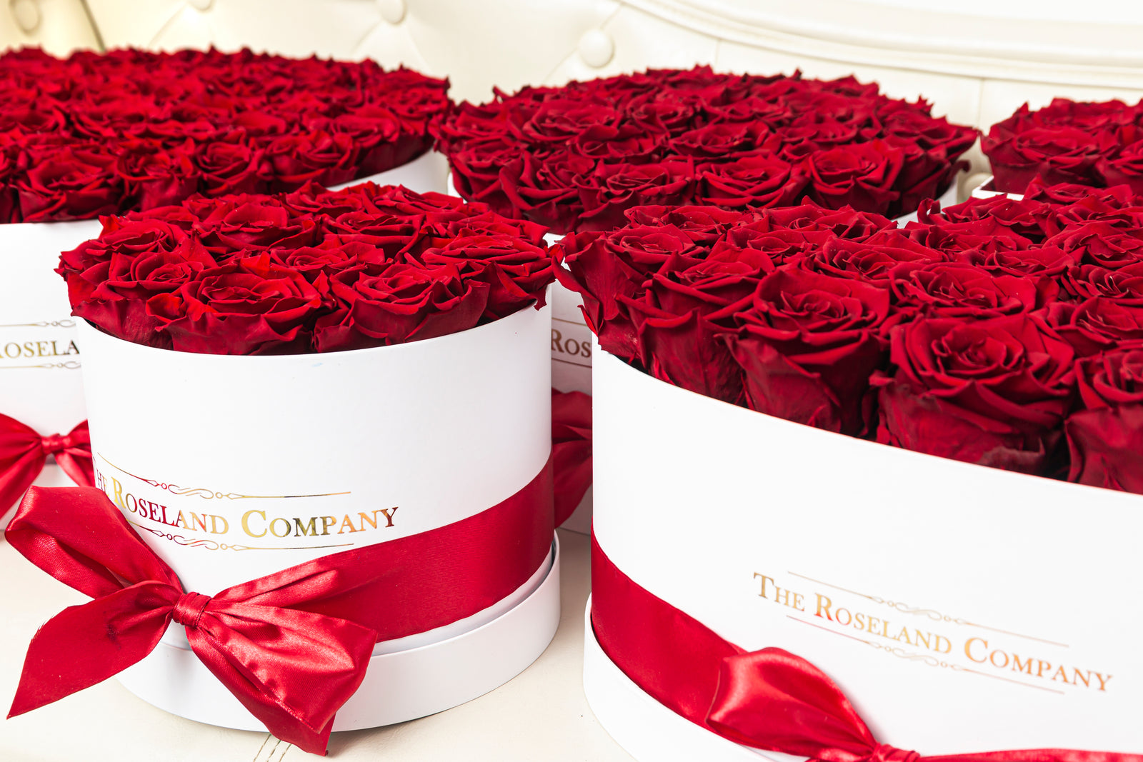 Unendliche Schönheit: Warum Infinity-Rosen die perfekte Wahl für jeden Anlass sind