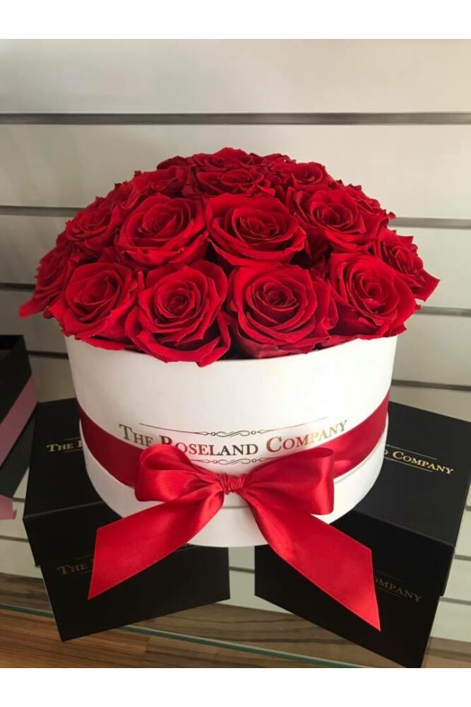 Große Zylinderbox mit Infinity Rosen