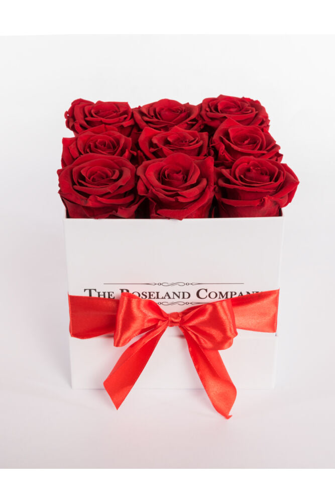 Quadratische Box mit Infinity Rosen