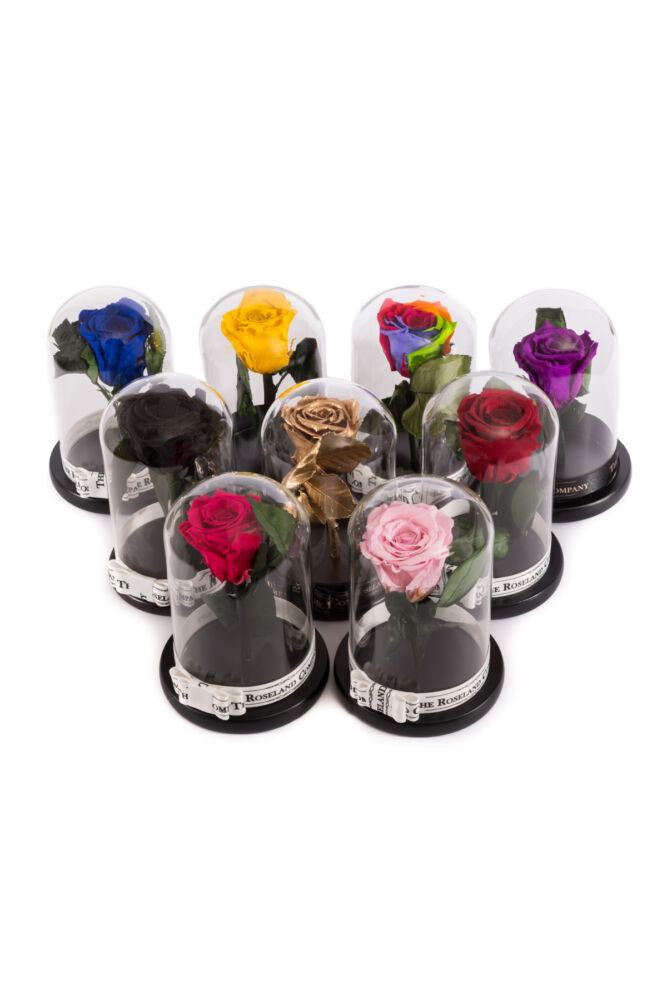 Infinity Rose in kleiner Glaskuppel