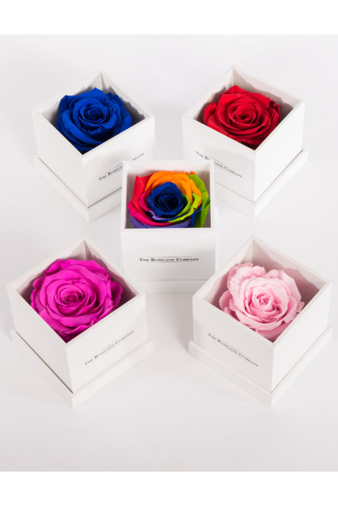 Kleine quadratische Box