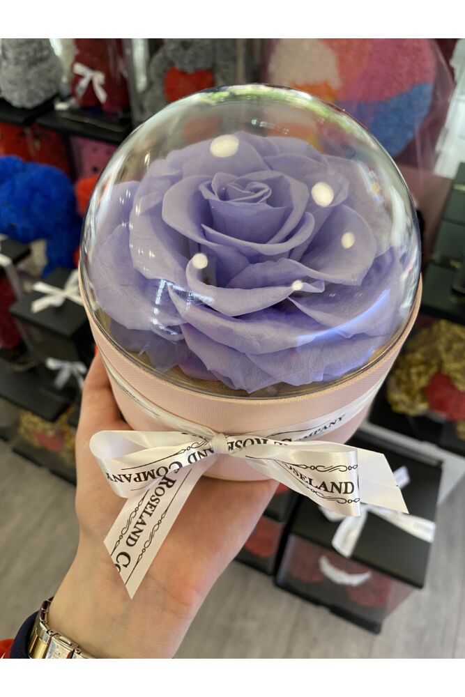 Infinity Rose in Glaskuppel