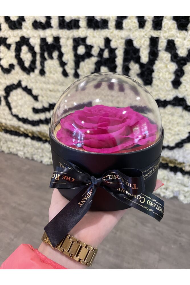 Infinity Rose in Glaskuppel