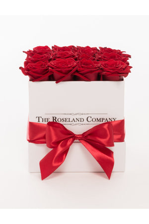 Quadratische Box mit Schnittrosen