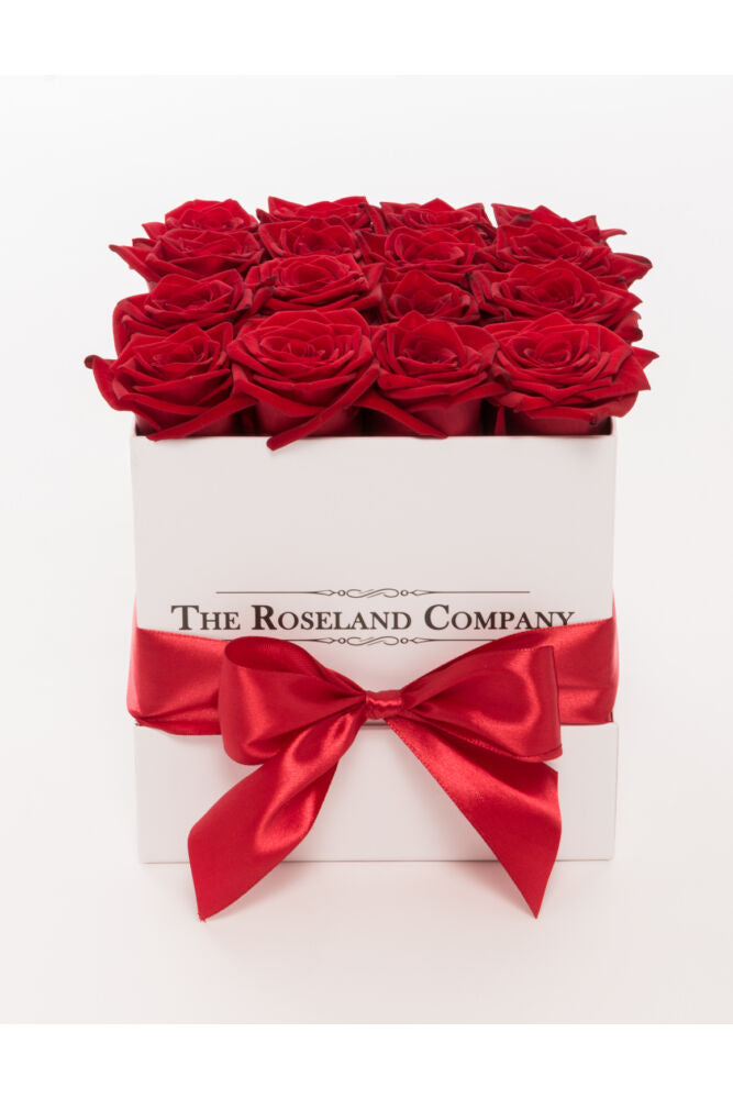 Quadratische Box mit Schnittrosen