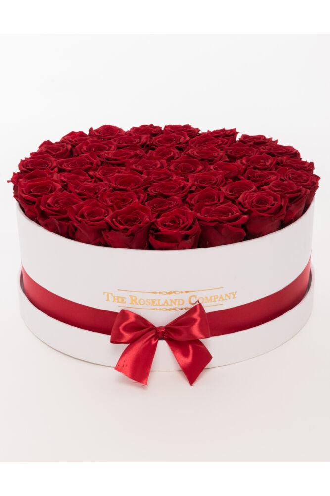 Zylinderbox XL mit Infinity Rosen