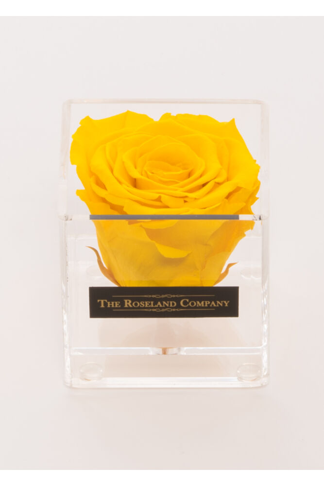 Kleine quadratische Box