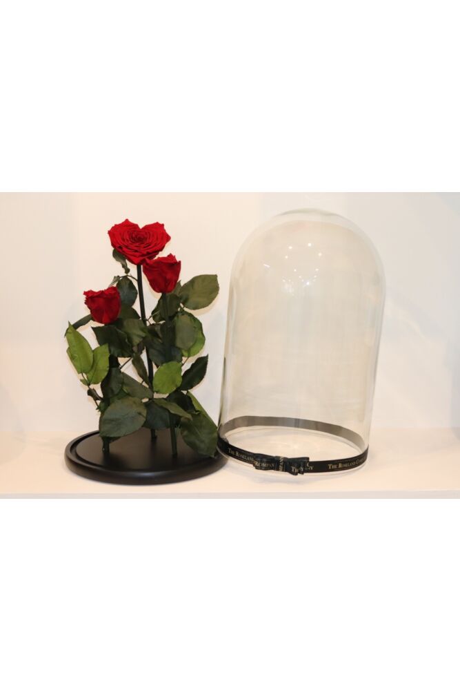 Infinity Rose in XXL Glaskuppel