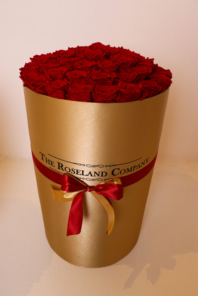 Zylinderbox XXL mit Infinity Rosen